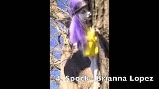 Next Top Monster: Episode 2 Cycle 1