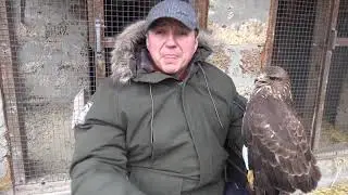 Николаевские голуби.  Любители гона, все на борьбу с хищником!