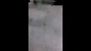 He fucked my sister fight