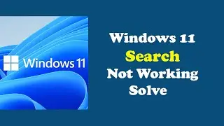 Windows 11 Search Not Working Solved