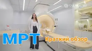 Что такое МРТ? Как работает и что диагностирует?