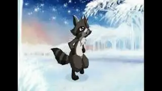 Raccoon run in (Animation test)