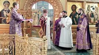 Хиротония во диаконы Михаила Велигоша