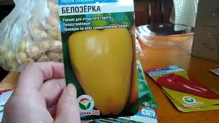 Опять семена, обзор семян, хранение лука севка до посадки