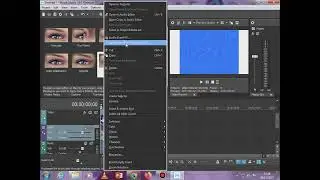 How to make Daniel Louie Major on Movie Studio 16.0 Platinum
