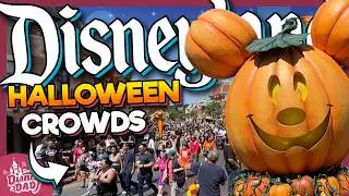 How CROWDED is Disneyland for Halloween 2024? | Wait Times & More