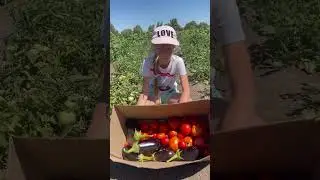 Наши моменты из жизни #природа #деревня