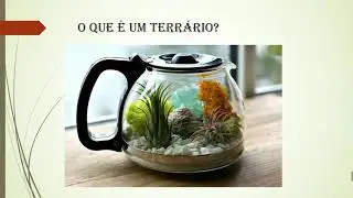 Criando um Terrário em Casa