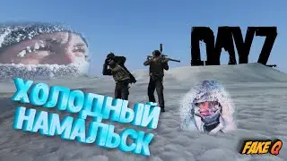 DayZ сервера: Stalker RP, Namalsk. Моменты лето 2022