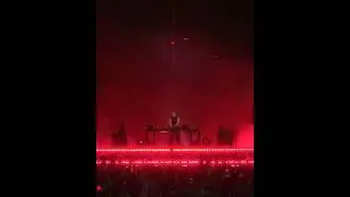 Afterlife @ Tomorrowland