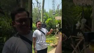 Biaya Liburan di Ancol 2024: Birdland Ancol Jakarta #shorts