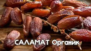 ПОЛЬЗА ОТВАРА ФИНИКОВ