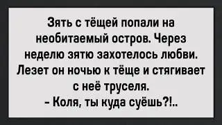 How Kolya Fell Out of Love with His Mother-in-Law! A Collection of Anecdotes! Humor!