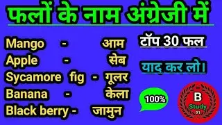 fruits name in english// fruits name// fruits name in english and hindi/ B Study 91/ falo ke naam