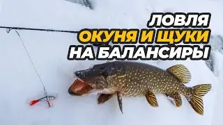 Ловля щуки и окуня на балансир. Зимний календарь