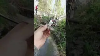 Ҳашари ҷӯйканӣ дар маҳаллаи САРИКАНДА 20/04/2024