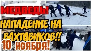 ✔МЕДВЕДЬ ! 10 НОЯБРЯ, В ЯКУТИИ, МЕДВЕДЬ НАПАЛ НА ПОСЕЛОК  ВАХТОВИКОВ.ЕСТЬ ПОСТРАДАВШИЕ.