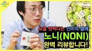 한의사가 노니의 효능과 복용법 노니의 모든것을 알려 드립니다!