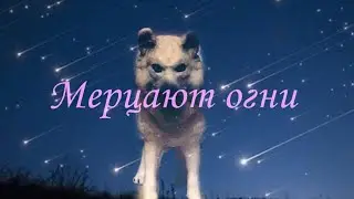 (На конкурс The_laika) «Мерцают огни»