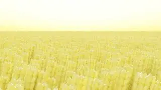 Forever Gold