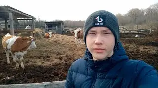 НЕ БЕРЕГУ СЕБЯ ПОСЛЕ ОПЕРАЦИИ... ТАСКАЮ НАВОЗ!