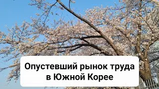 #работа