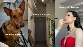 Влог 4 | Семейные выходные, съемка к 14 февраля и воспитание собаки