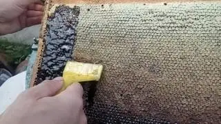 Распечатка медовой рамки