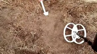 MetalDetector: Detech EDS WINNER. Тест в грунте 4