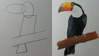 Como Dibujar Un TUCAN Paso a Paso ✍
