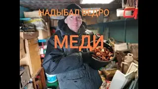 СДАЛИ МЕТАЛЛ С ЛЕТНЕГО КОПА-НЕПЛОХО ВЫШЛО!!!)))👍🏻❄💰13-ая ЗАРПЛАТА ПЕНСИОНЕРОВ!!!)))