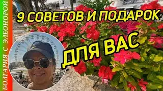 9 Советов и Подарок Зрителю из Болгарии.