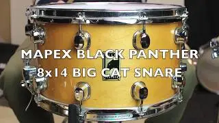 Mapex Black Panther Big Cat 8x14 Snare Drum