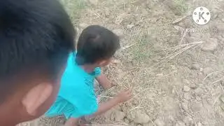 para bocil lagi cari belalang...
