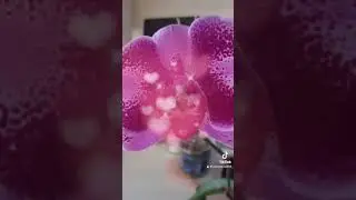 Заканчивается лето