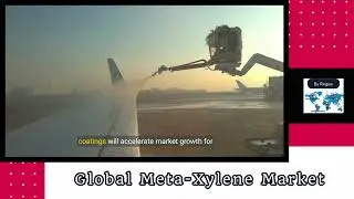 Global Meta Xylene Market