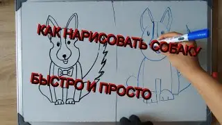 Как нарисовать собаку просто.