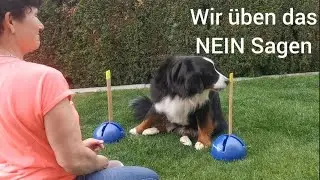 Aufbau vom Trick "Nein" Step-1