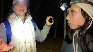 Turtlewithhat Found Footage 2024