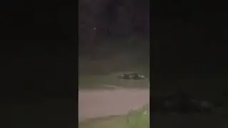 Нечто за деревьями #shorts