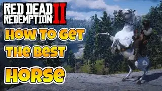Red Dead Redemption 2 How To Get The White Arabian Horse | How To Tame The Best Horse In RDR2