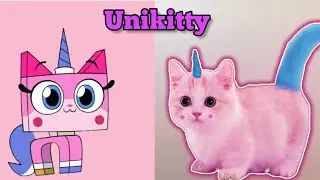 Unikitty Characters in REAL LIFE | 👉👉