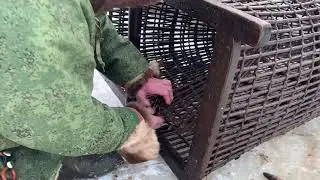 Григорий Николаевич Кантеров ( пимские ханты)