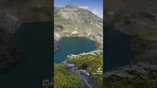 Доброе утро! Прекрасного дня!