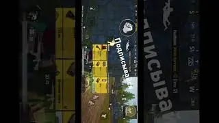 Килы на ливики