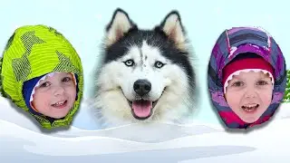 Играем с щенками и катаемся на лайках