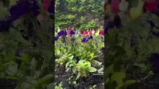 Explore nature