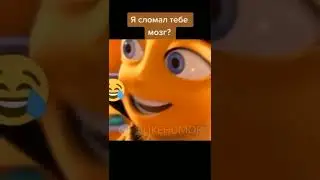 Желто-черный 