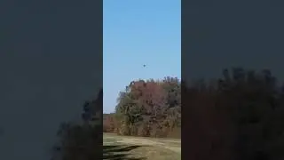 I'm back, also plane!