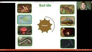 Fiona Brennan - BioFarm 2020 - Day 4